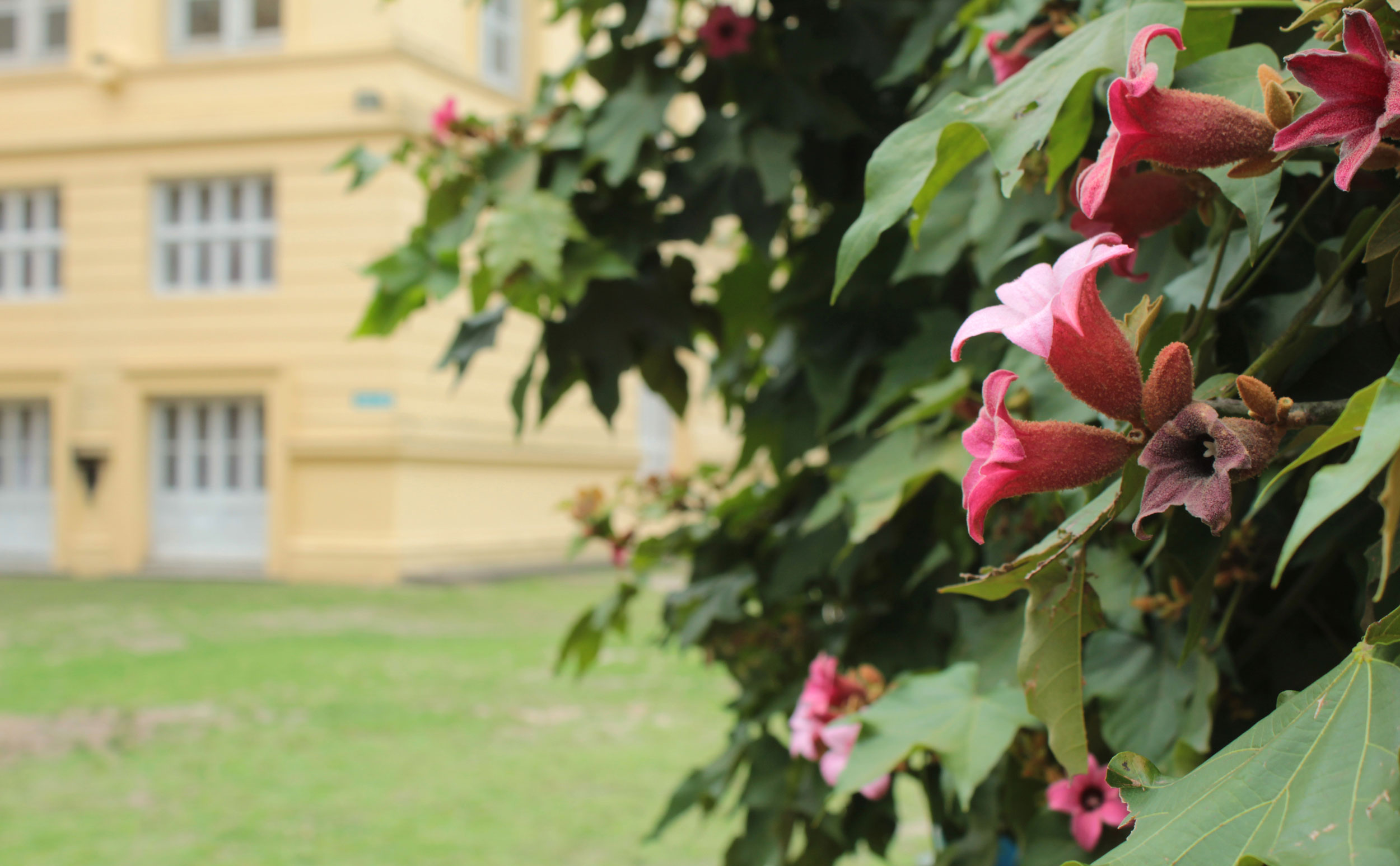 Saludo de fin de año